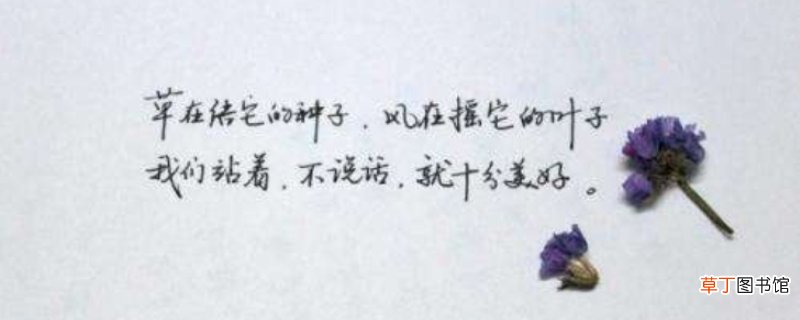顾城最经典的十首短诗