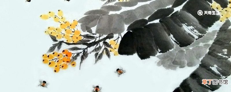 戏掬清泉洒蕉叶儿童误认雨声来的意思 戏掬清泉洒蕉叶儿童误认雨声来的意思是什么