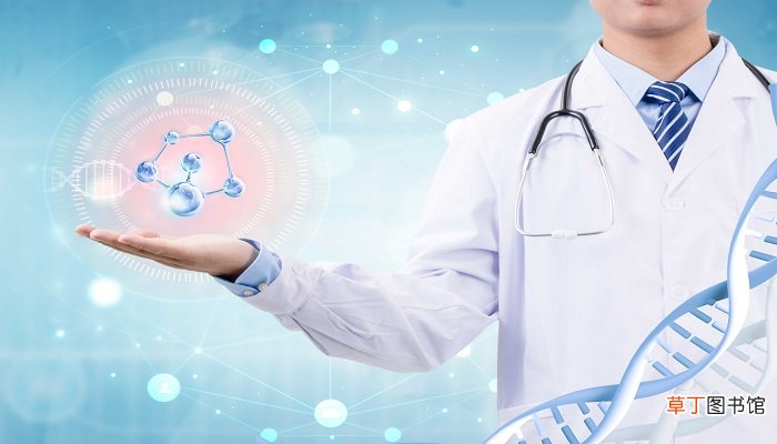 生物的分类 生物的分类有几种