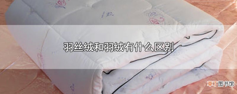 羽丝绒和羽绒有什么区别