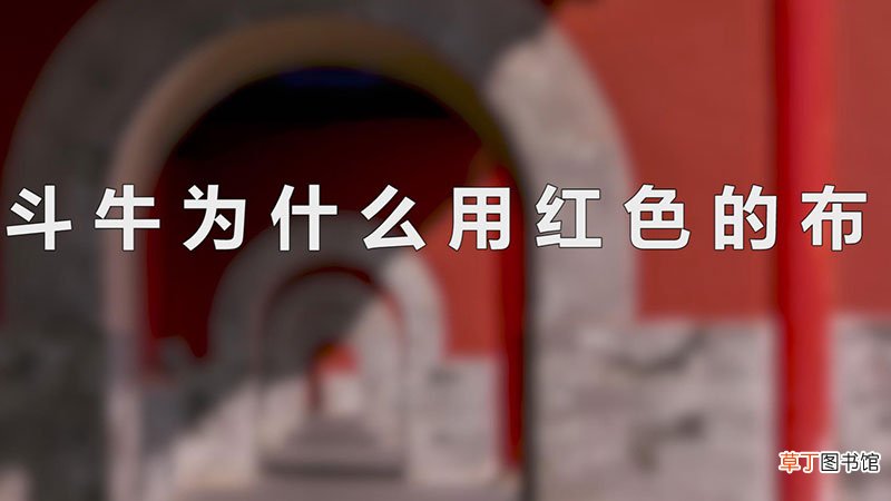 斗牛为什么用红色的布