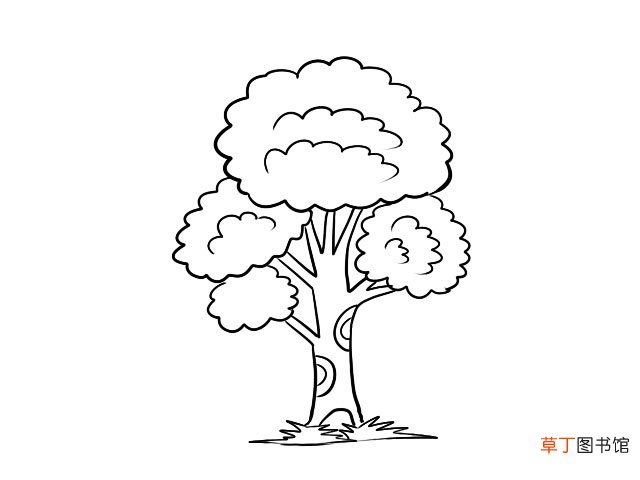 树简笔画 树的画法步骤