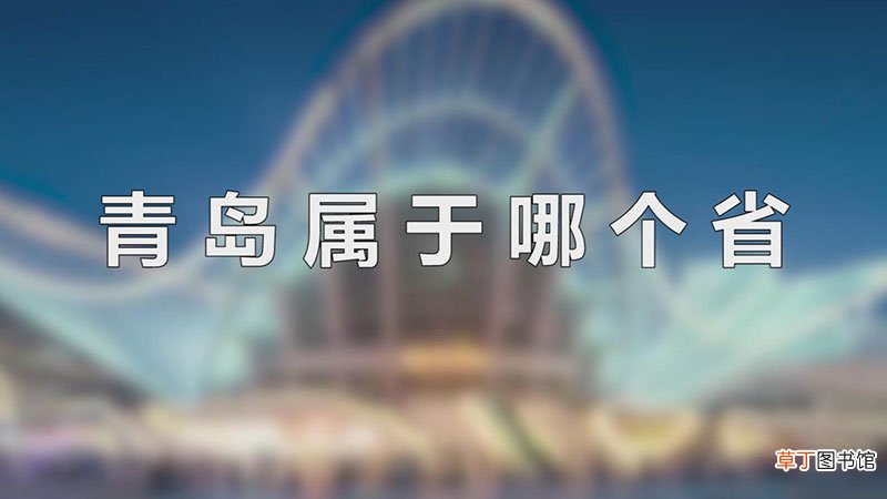 青岛属于哪个省