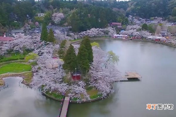 日本我孙子市在哪个县