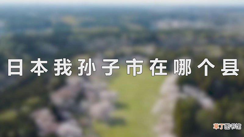 日本我孙子市在哪个县