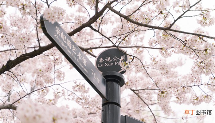 朝花夕拾主题思想概括 朝花夕拾主题思想概括50字