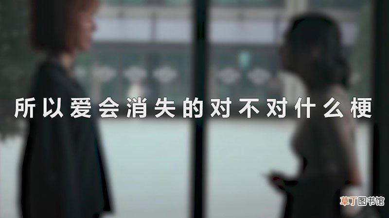 所以爱会消失的对不对什么梗