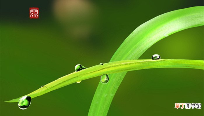 《春夜喜雨》古诗的意思《春夜喜雨》的诗意