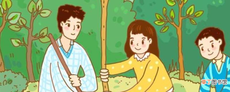 认养植树面积什么意思