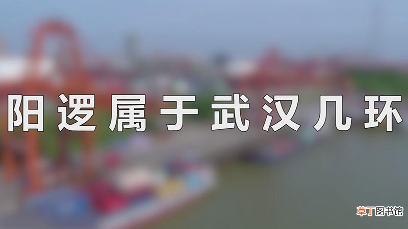 阳逻属于武汉几环