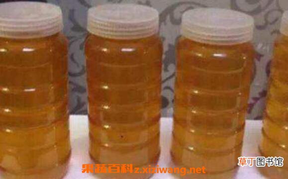 一杯清水辨别蜂蜜真假 如何监别蜂蜜真假