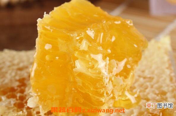 蜂巢蜜的作用与功效 蜂巢蜜的食用方法