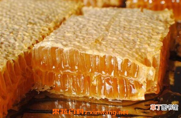蜂巢蜜的作用与功效 蜂巢蜜的食用方法