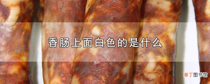 香肠上面白色的是什么