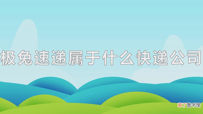 极兔速递属于什么快递公司