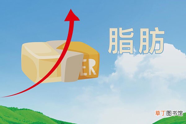 黄油是什么做的