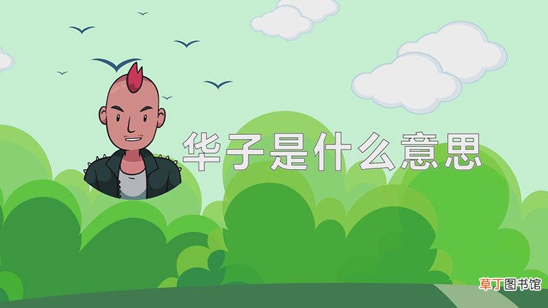 华子是什么意思