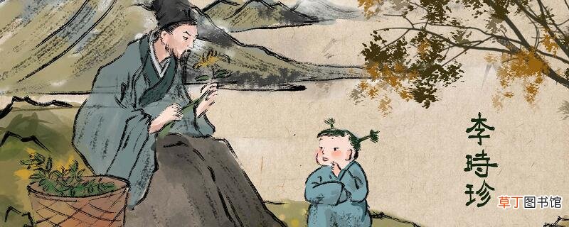 本草纲目全书有多少卷 本草纲目共分几卷