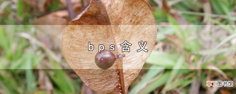 bps含义