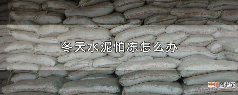 冬天水泥怕冻怎么办