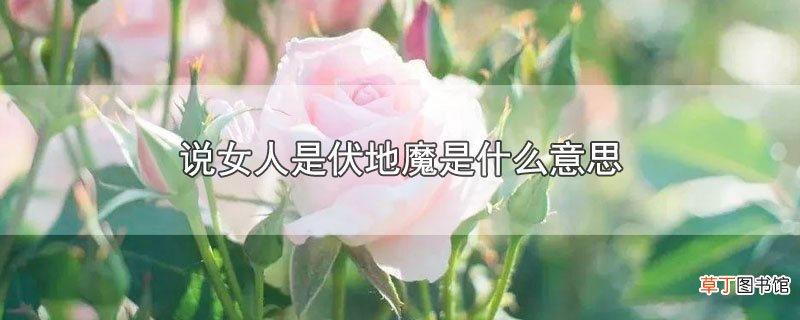 说女人是伏地魔是什么意思