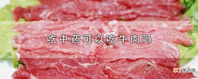 吃中药可以吃牛肉吗