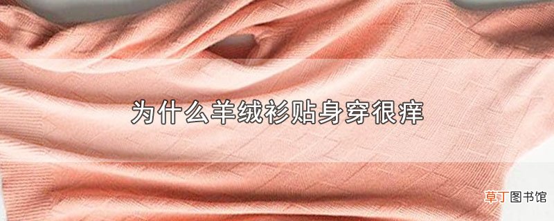 为什么羊绒衫贴身穿很痒