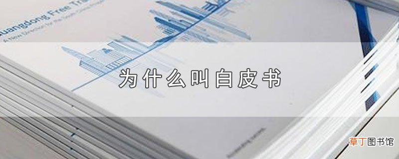 为什么叫白皮书