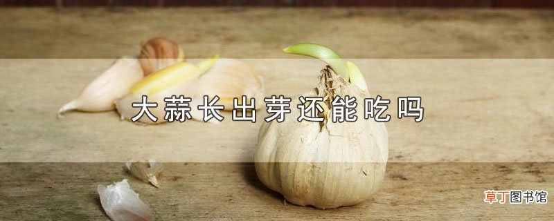 大蒜长出芽还能吃吗