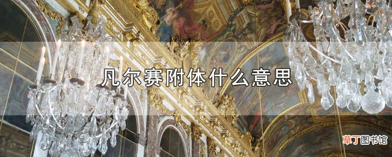 凡尔赛附体什么意思