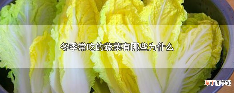 冬季常吃的蔬菜有哪些为什么