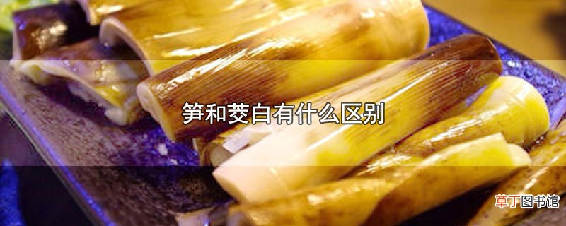 笋和茭白有什么区别