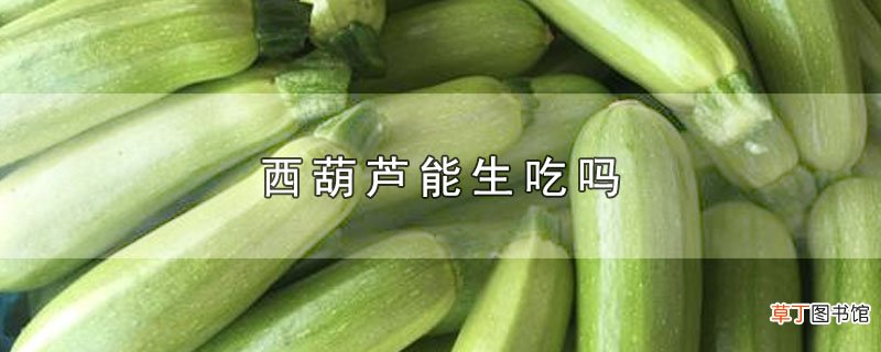 西葫芦能生吃吗