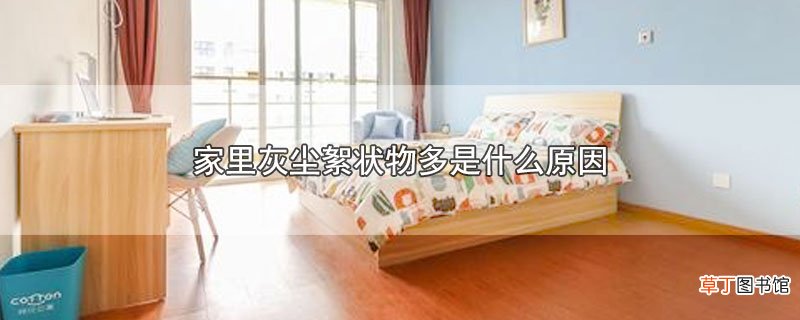 家里灰尘絮状物多是什么原因