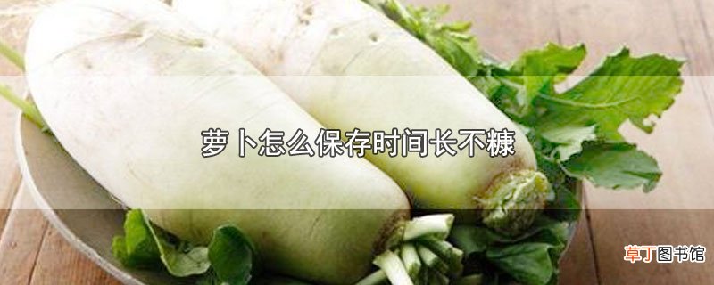 萝卜怎么保存时间长不糠