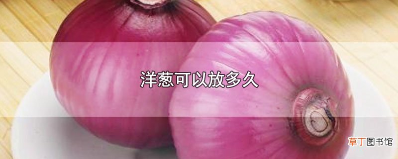 洋葱可以放多久