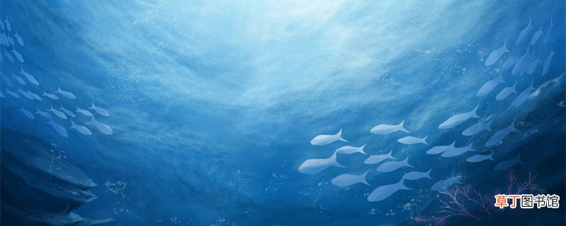 海底两万里环境描写摘抄加赏析 海底两万里景物描写及赏析