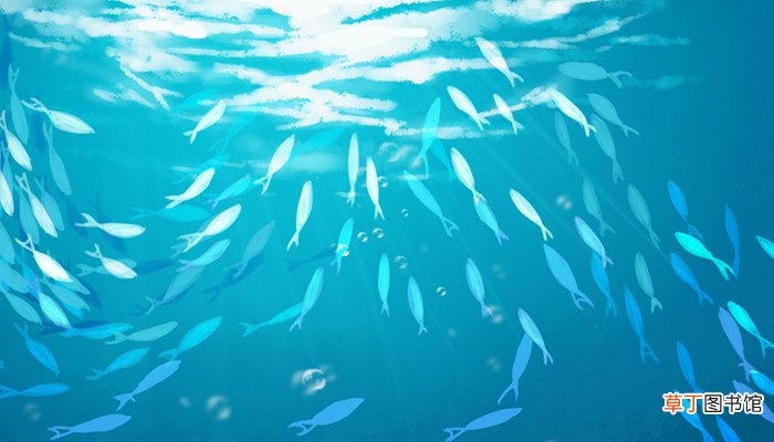 海底两万里环境描写摘抄加赏析 海底两万里景物描写及赏析
