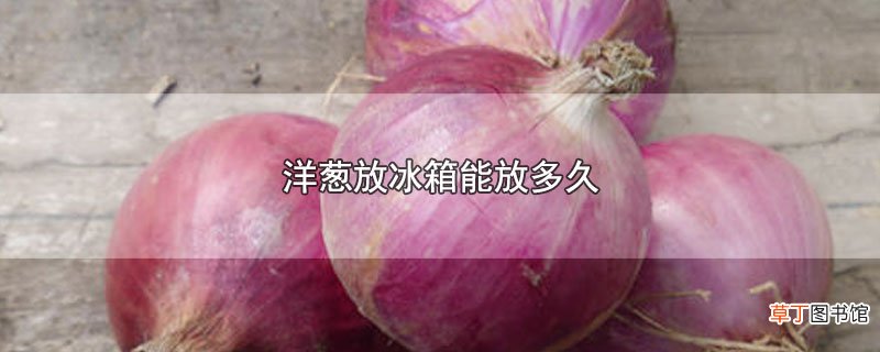 洋葱放冰箱能放多久