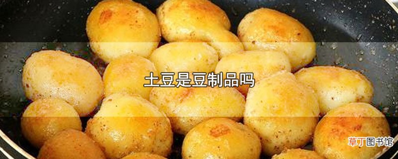 土豆是豆制品吗