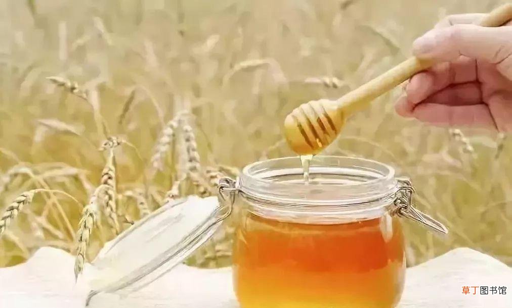 蜂蜜治胃病的服用方法-蜂蜜治胃病的最好方法