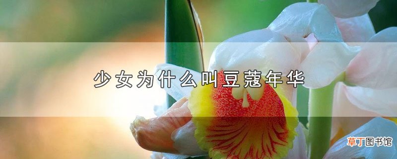 少女为什么叫豆蔻年华