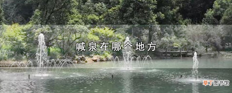 喊泉在哪个地方