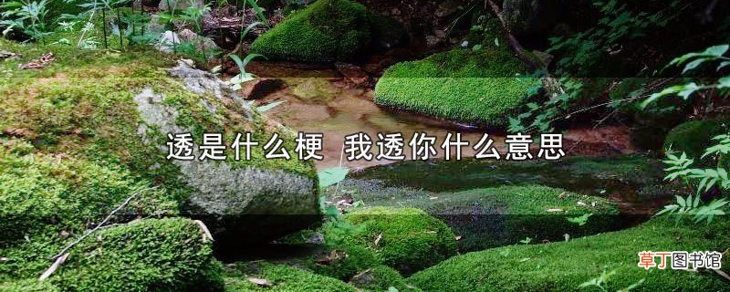 透是什么梗 我透你什么意思