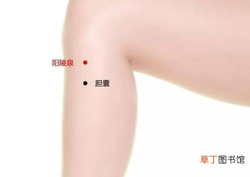 肝胆经湿热下注吃什么药-肝胆经湿热下注吃什么药合适