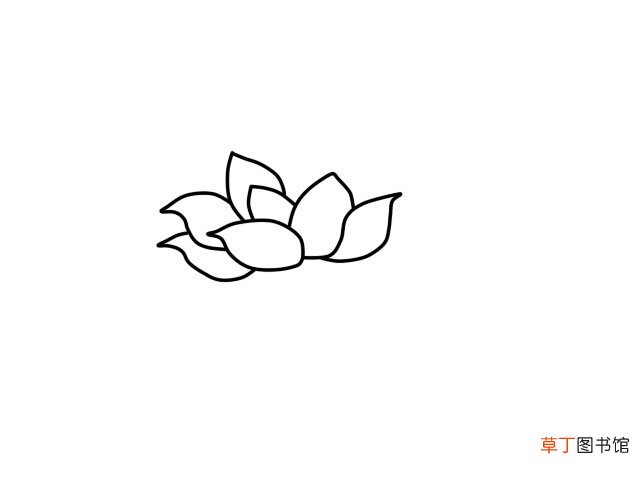 荷花简笔画 荷花的画法