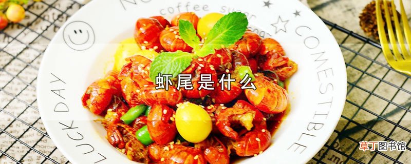 虾尾是什么
