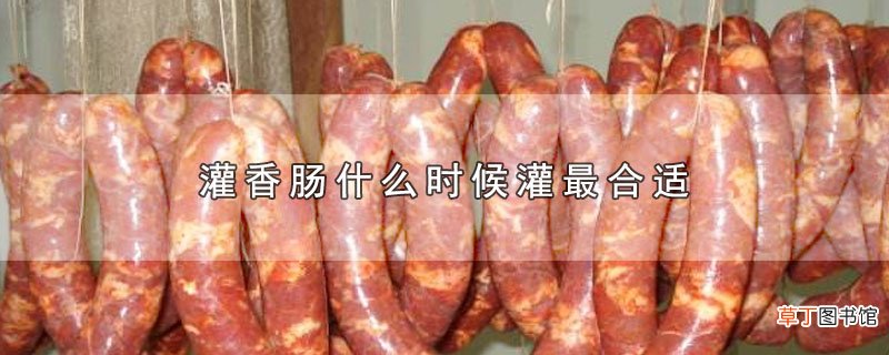 灌香肠什么时候灌最合适