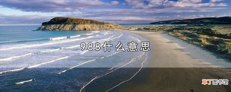 988什么意思