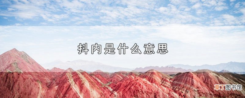 抖内是什么意思